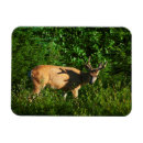 Recherche de cheminée magnets Vert
