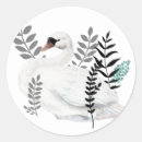 Zoek naar zwanen stickers Floreel