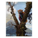 Recherche de lémur posters Animal