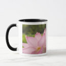 Recherche de premier plan tasses Jour