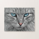 Recherche de yeux puzzles Chat gris