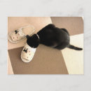 Recherche de sandales cartes postales Pieds