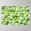 Recherche de agriculture posters Légume