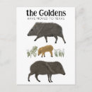 Recherche de carte texas cartes postales Moderne