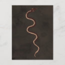 Recherche de serpents cartes postales Autochtone