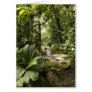 Recherche de domination cartes postales Arbre