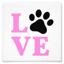 Recherche de photo copies de chat Chats