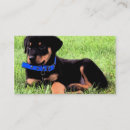 Zoek naar rottweiler visitekaartjes Schattig