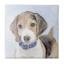 Recherche de tricolore carreaux Chiot