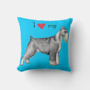 Recherche de standard schnauzer Chien