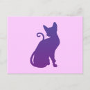 Zoek naar poes briefkaarten Mooi