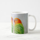 Recherche de perruches tasses Coloré
