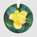 Recherche de sunshine ornamente Pour tous