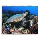 Recherche de requins calendriers Tortue
