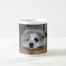 Recherche de obtenez tasses Chien