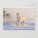 Recherche de beau cheval cartes postales Neige