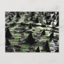 Recherche de souvenir portugal cartes postales Nature