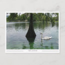 Recherche de orlando la floride cartes postales D'orlando