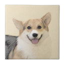 Recherche de pembroke welsh corgi carreaux Dog