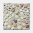 Recherche de crainte magnets Nature