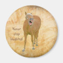 Zoek naar horse magneten Humor