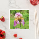 Recherche de barbu serviettes Nature