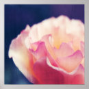 Recherche de sensueel posters Photographie