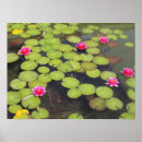 Recherche de art deco flower posters Pink