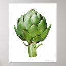 Recherche de d artichaut art Photographie