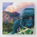 Recherche de gorilles horloges Faune