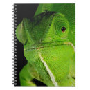 Recherche de caméléon carnets Vert