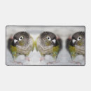 Recherche de perroquet vert tapis souris Oiseau