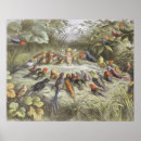 Zoek naar kinderboeken posters Fee