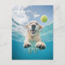 Recherche de animal marin cartes postales Dog