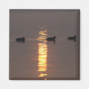 Recherche de ornithologie magnets Sauvage