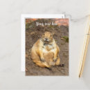 Recherche de rétablissement cartes postales Mignon