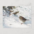 Recherche de épervier cartes postales Hiver