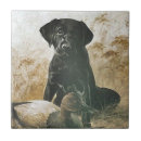 Zoek naar hunting tegels Hond