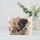 Recherche de animaux de durer cartes postales Allemand