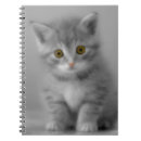 Recherche de chaton carnets Chat gris