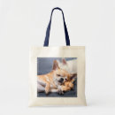 Recherche de purebreed sacs Domestic animals