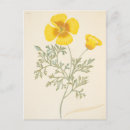 Recherche de illustration du 19ème siècle cartes postales Fleur