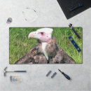 Recherche de oiseaux proie tapis souris Animaux
