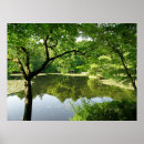 Recherche de protection de lis art Jardin