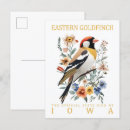 Zoek naar goudvinken briefkaarten Waterverf