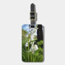 Recherche de jacinthes accessoires Jacinthe des bois
