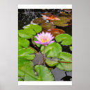 Recherche de waterlily posters Pond