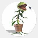 Recherche de mouches autocollants Plante