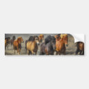 Zoek naar wild paarden bumperstickers Natuur