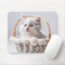Recherche de chatons blancs tapis souris Pour tous